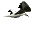 vogel-0046